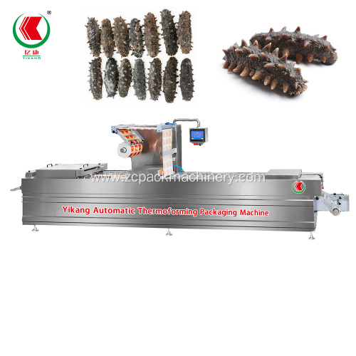 Sea Cucumber Thermoforming Vacuum Packaging Machine